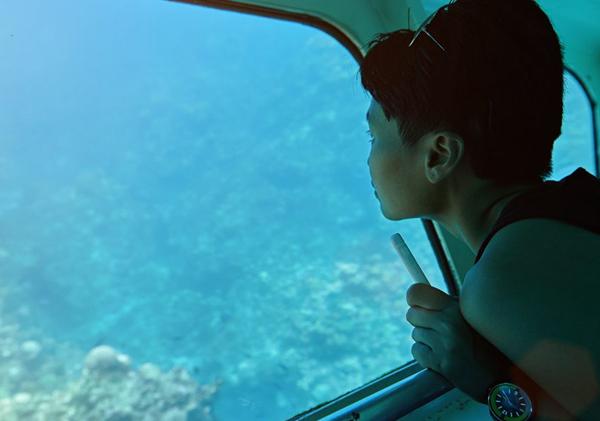 Glass Bottom Boat + Monkeys & Sloths
